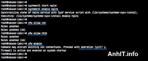 cấu-hình-UFW-firewall-cho-phép-nginx